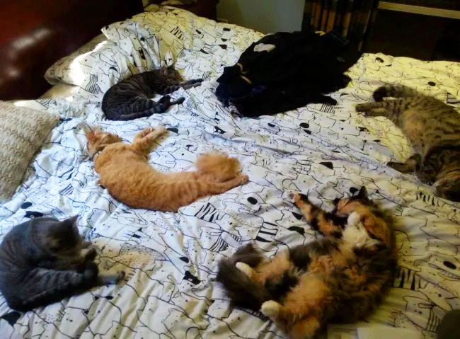 Oh! After a hard day, don't you think you deserve a restful night in your bed?