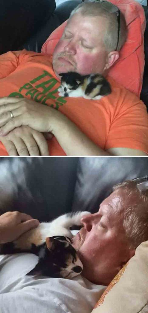 21 People Who Say They Did Not Need The Annoying Cats