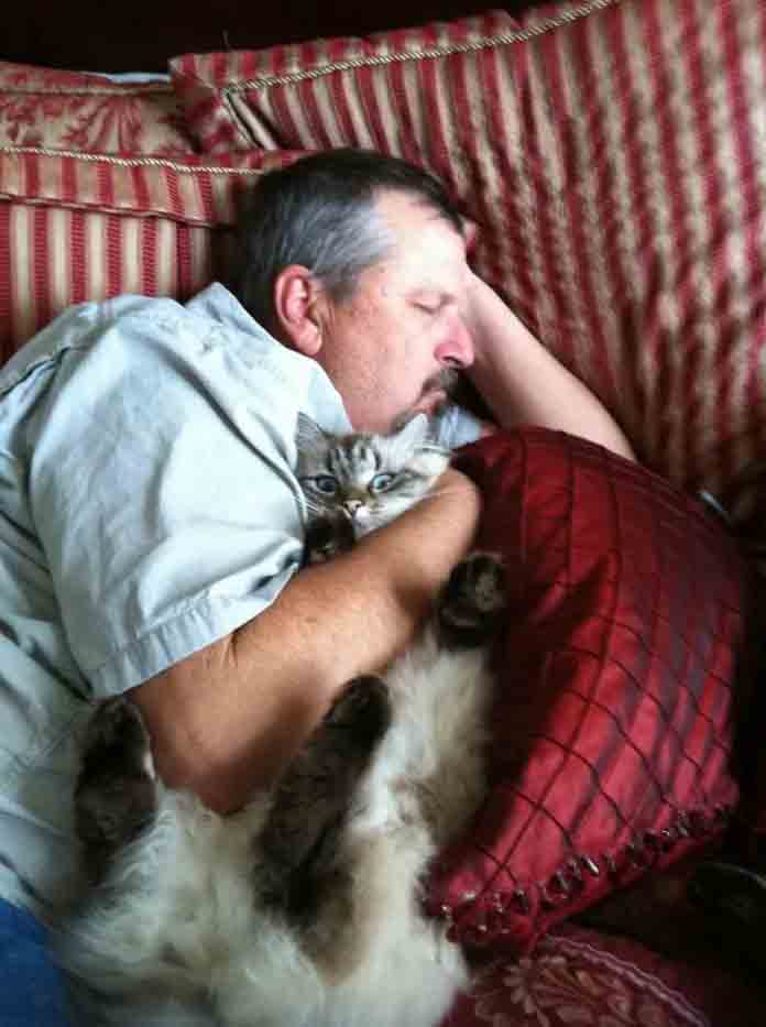 21 People Who Say They Did Not Need The Annoying Cats
