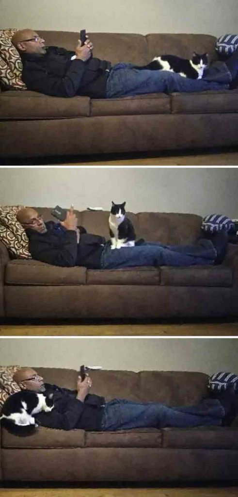 21 People Who Say They Did Not Need The Annoying Cats
