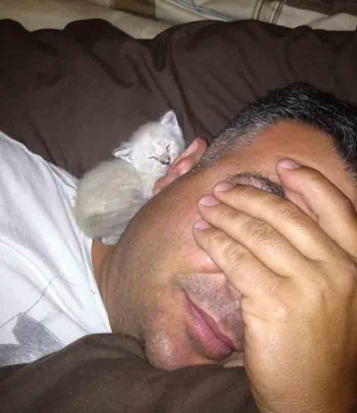 21 People Who Say They Did Not Need The Annoying Cats