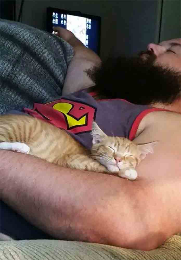 21 People Who Say They Did Not Need The Annoying Cats