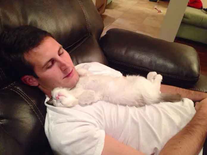 21 People Who Say They Did Not Need The Annoying Cats