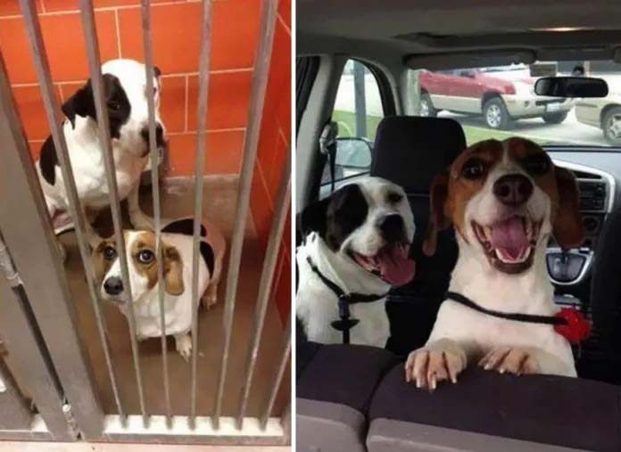 From Cellmates to Lifelong Friends