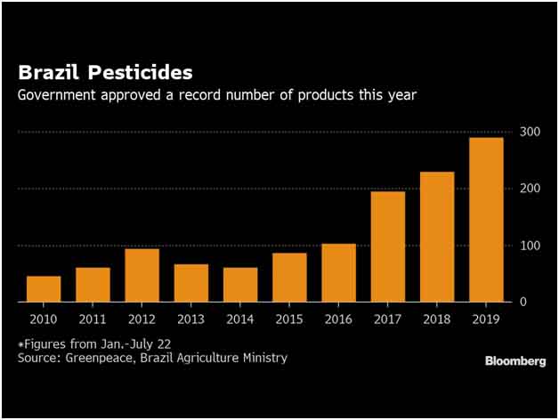 Brazil lost 500 million bees in three months in 2019, raising concerns about the future of the Earth and its people