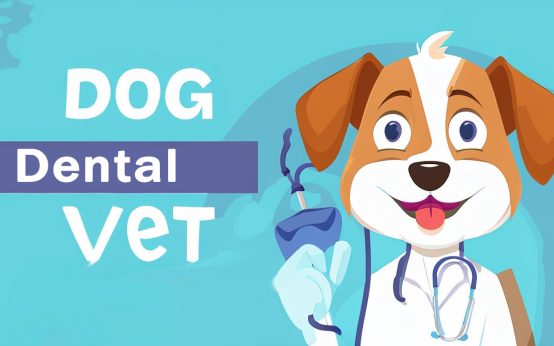 dog dental vet