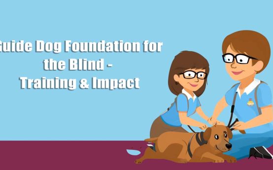 guide dog foundation for the blind