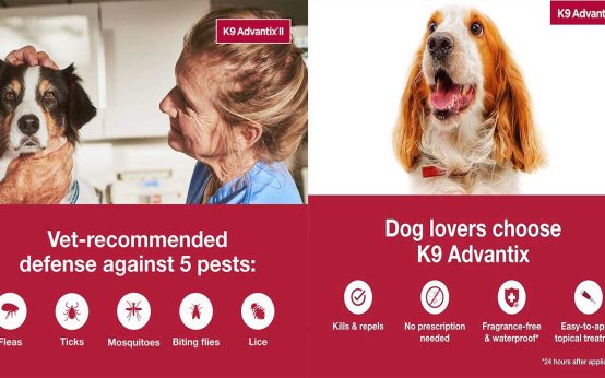 K9 Advantix II