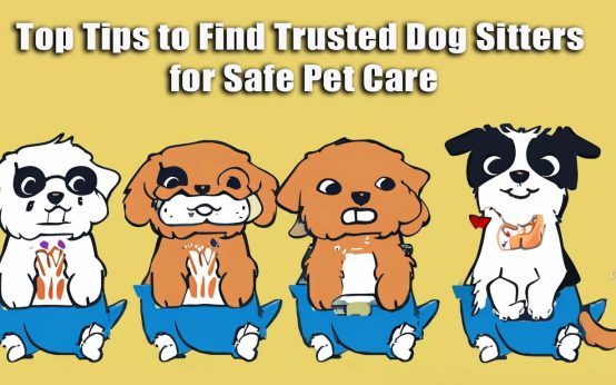 trusted dog sitters