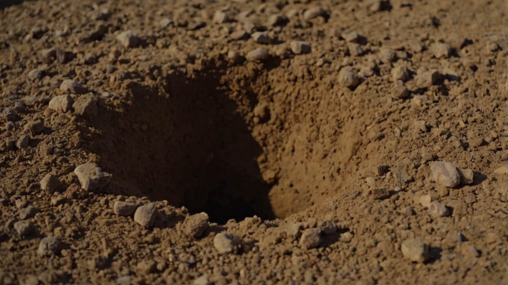 how to fill a hole your dog dug