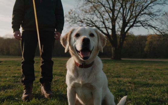 how to get a dog to listen without treats