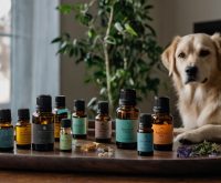 are essential oils in a diffuser safe for dogs