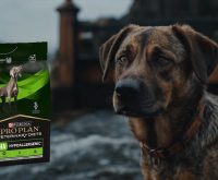 purina hypoallergenic dog food
