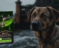 purina hypoallergenic dog food