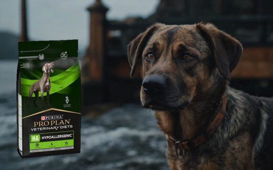 purina hypoallergenic dog food