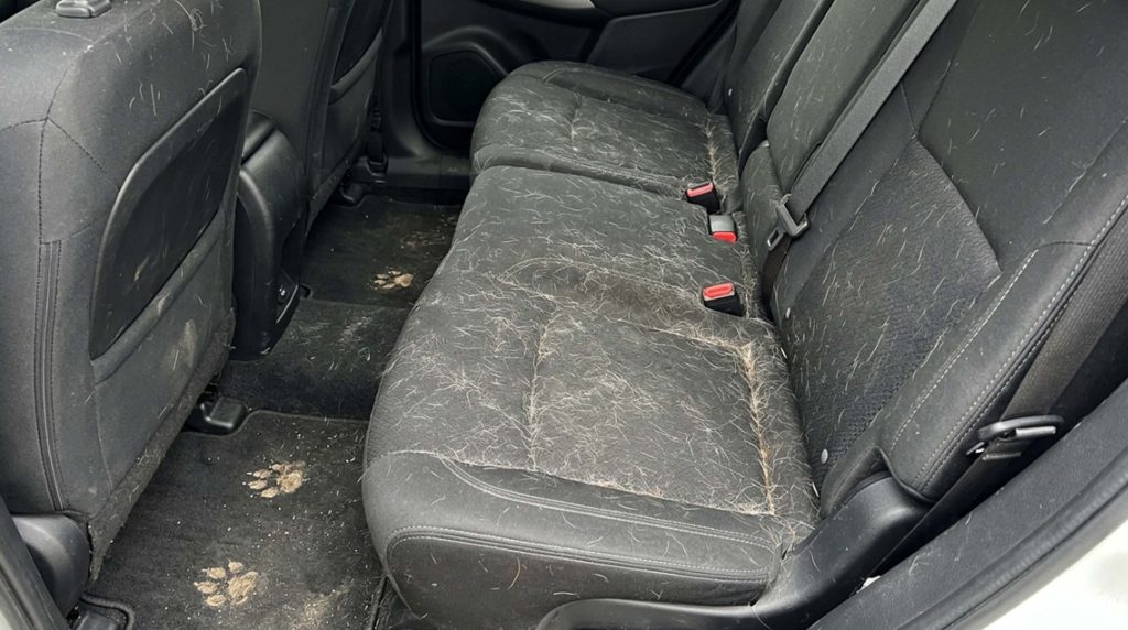How to get dog hair out of Car seats