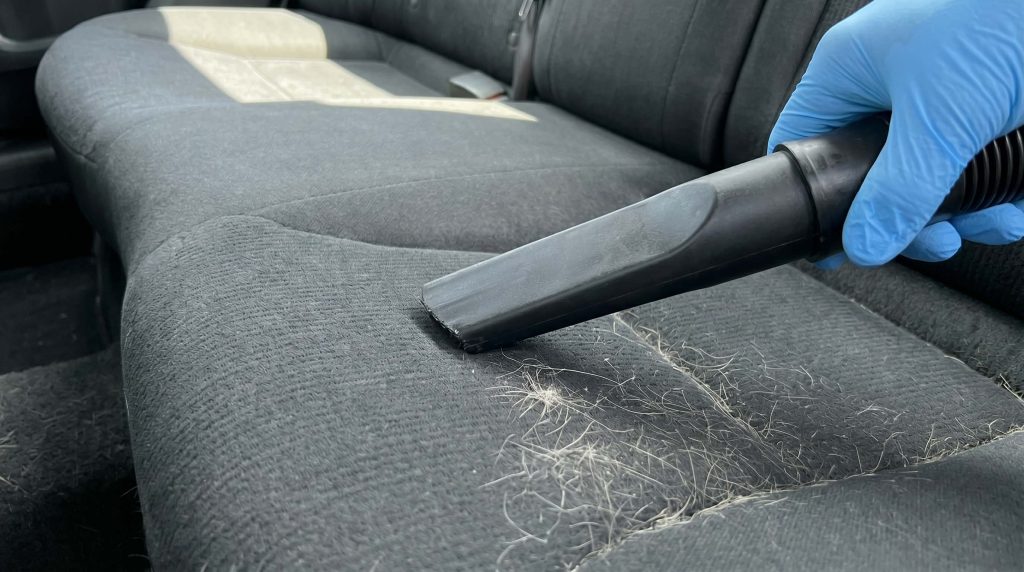 How to get dog hair out of Car seats