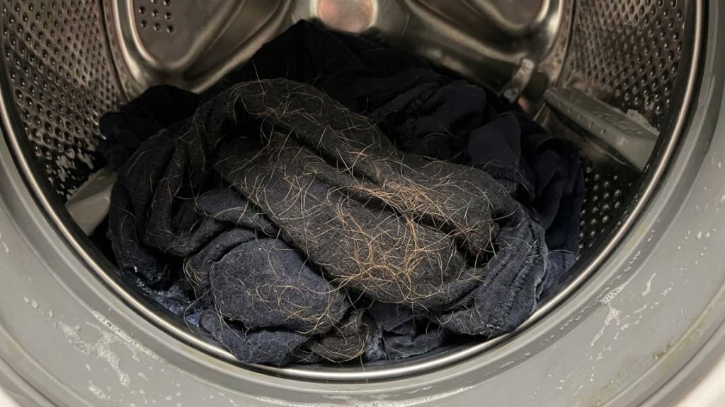 how to get dog hair out of laundry