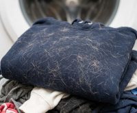 how to get dog hair out of laundry
