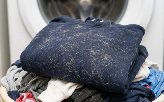 how to get dog hair out of laundry