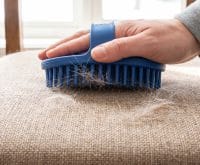 how to remove short dog hair from woven fabric seats