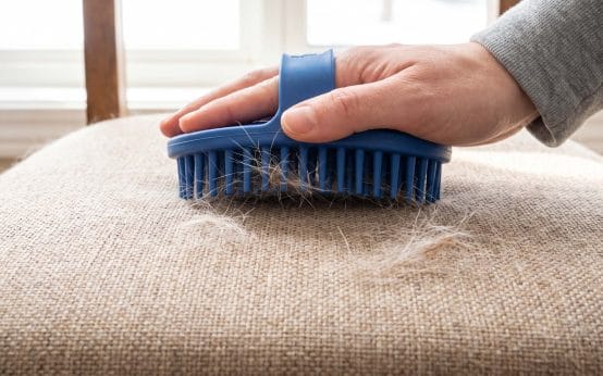how to remove short dog hair from woven fabric seats