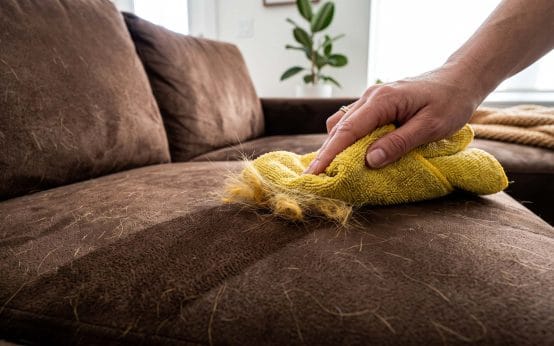 how to get dog hair out of micro suede couches