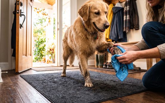 how to sweep dog hair off hardwood floors without scratching