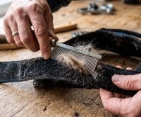 how to get dog hair out of sticky velcro straps