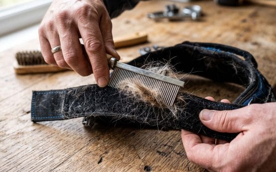 how to get dog hair out of sticky velcro straps