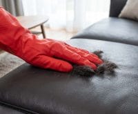 how to stop dog hair from sticking to leather couch