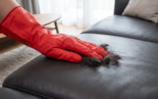 how to stop dog hair from sticking to leather couch