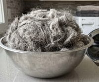 How to clean dog hair out of lint trap housing