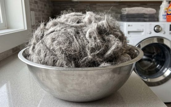 How to clean dog hair out of lint trap housing