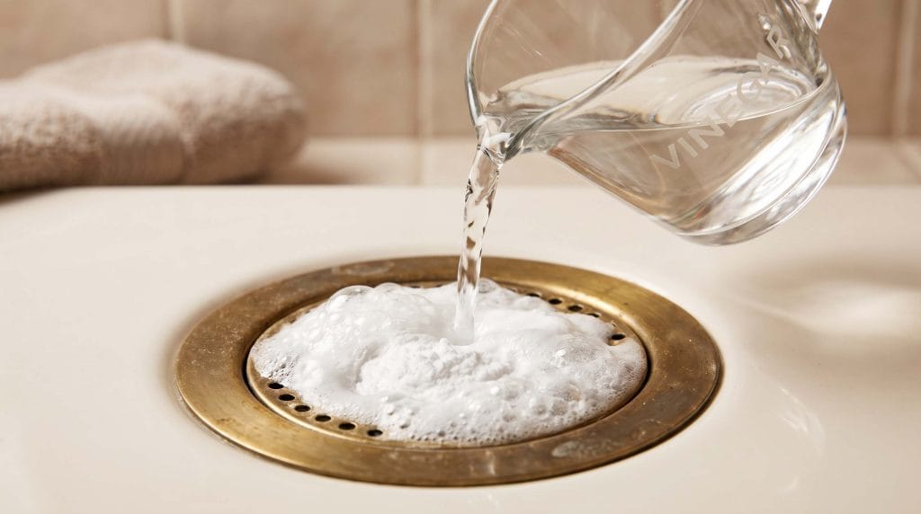 how to clean dog hair out of bathtub drain without chemical draino