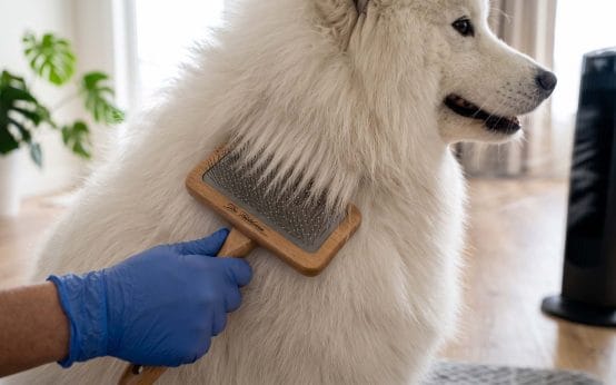 how to dry a double coated dog without a high velocity dryer