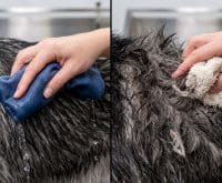 how to dry a thick undercoat fast without matting
