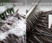can you brush a dog while the coat is soapy