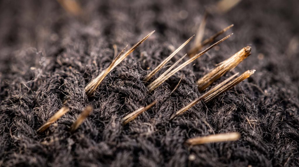 why do short haired pitbulls shed so many tiny sharp hairs
